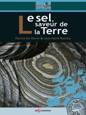 cover image of Le sel, saveur de la Terre